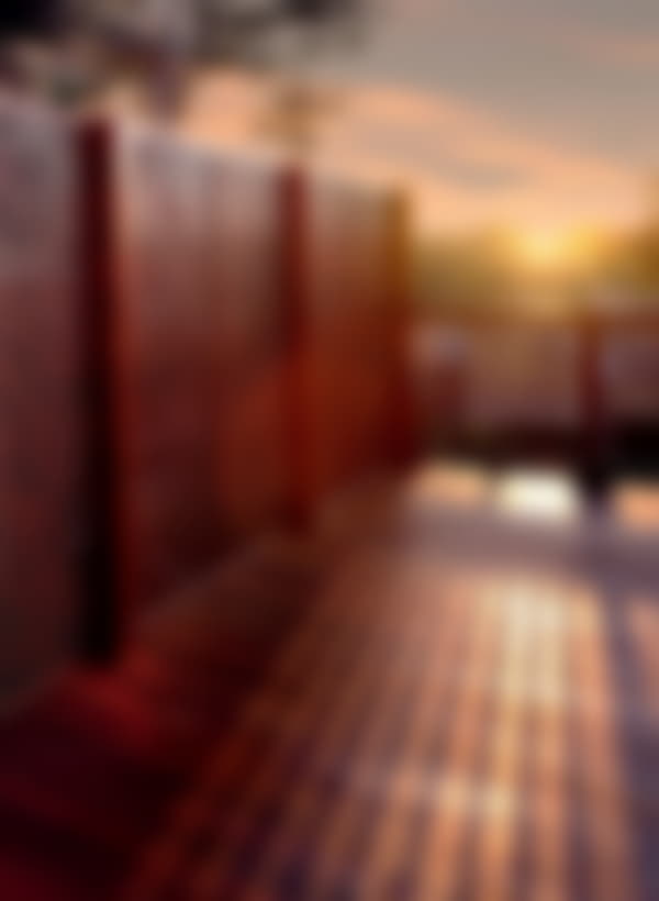 https://elitegatesystemsusa.com/wp-content/uploads/2021/01/img_13-600x820.jpg